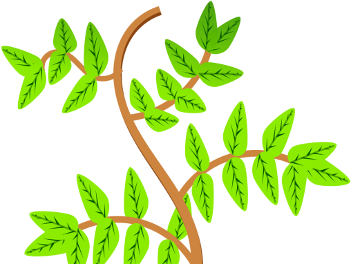 Share - Leaves And Stem Clipart - Png Download (720x450), Png Download