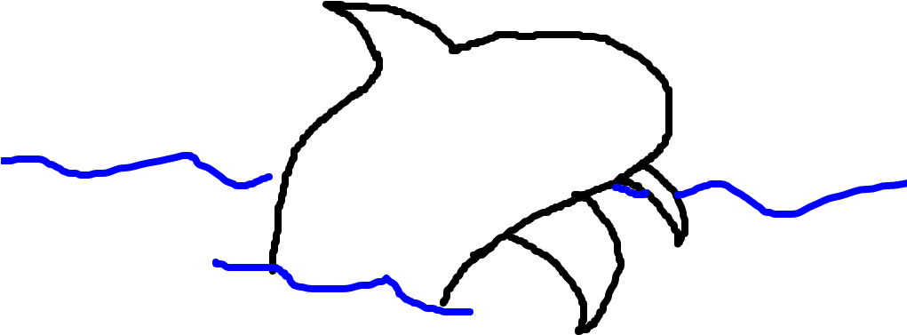 Orca Drawing Tail - Sketch Clipart (1020x608), Png Download
