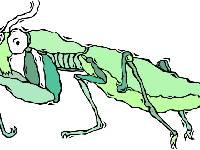 Praying Mantis Clipart Behind - Cartoon - Png Download (640x480), Png Download