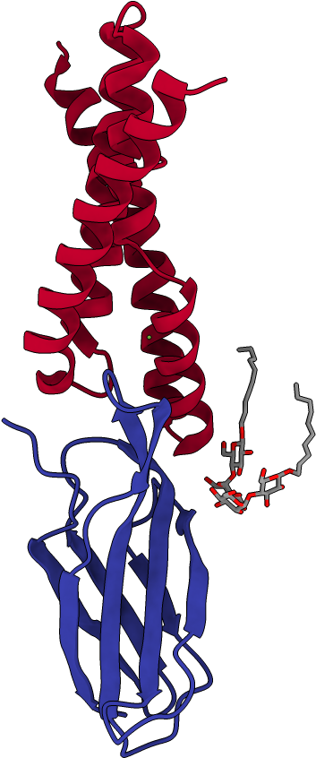 Chains Colored In Rainbow - Illustration Clipart (1000x1000), Png Download