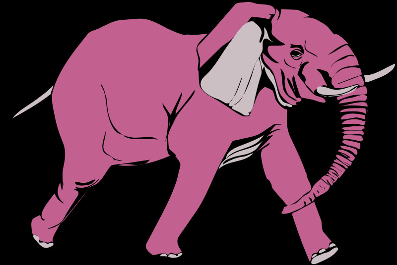 10 - Elephant Clip Art - Png Download (800x535), Png Download