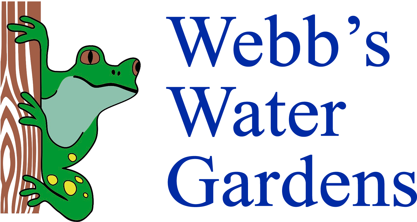 Google Shopping Logo 1500×750 Px - Wasa Kredit Clipart (1500x750), Png Download