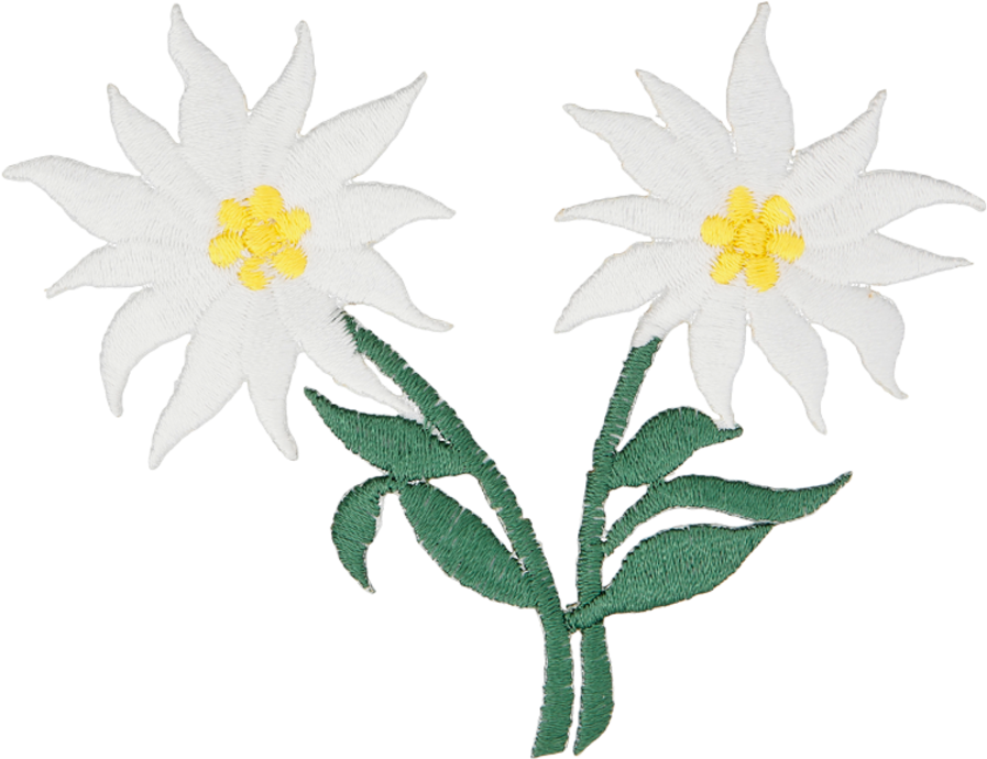 2e - 36 - C9 - 000785509016511 - Oxeye Daisy Clipart (954x954), Png Download