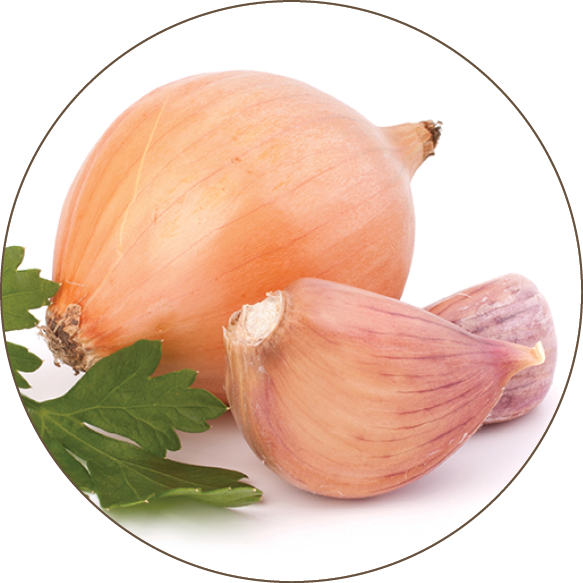 Alcohol Is Metabolized Into Acetic Acid Clipart (583x583), Png Download