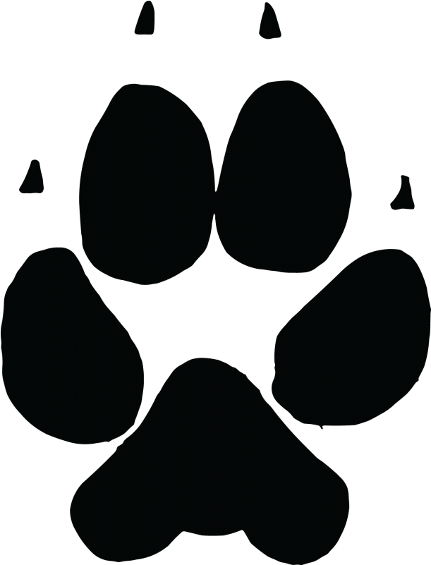 Wolf Paw Silhouette Png Clipart (800x800), Png Download