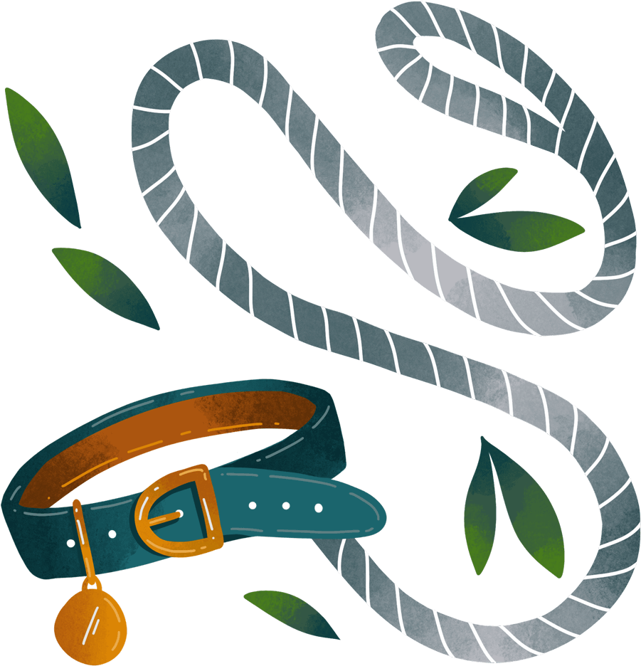 Dog Walking Cardiff Lead And Collar - Illustration Clipart (1000x1000), Png Download