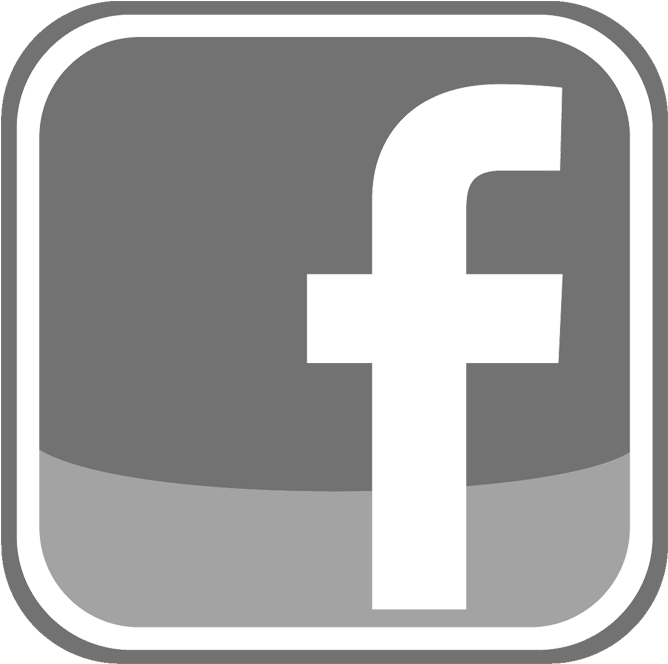 Accepted File Types - Grey Transparent Facebook Logo Clipart (677x700), Png Download