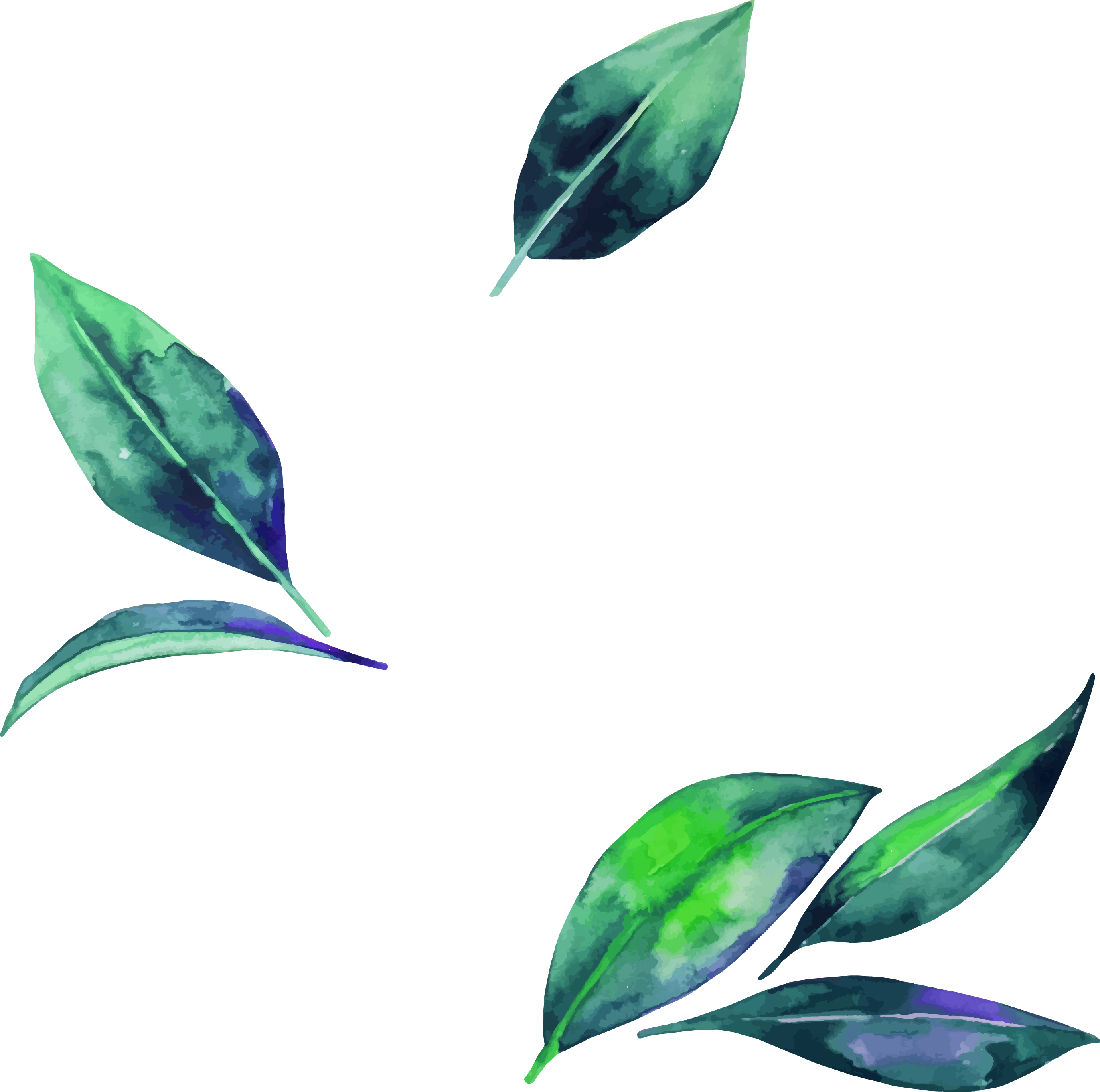 Watercolor Leaf Clipart (2757x2737), Png Download