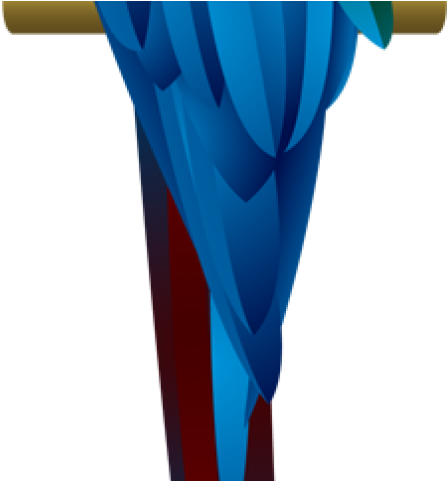 Macaw Clipart Transparent - Illustration - Png Download (640x480), Png Download