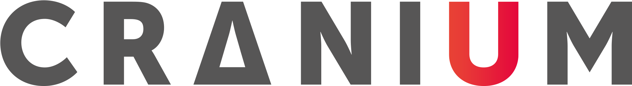 International Consulting Company In Privacy, Security - Cranium Nv Clipart (2369x651), Png Download