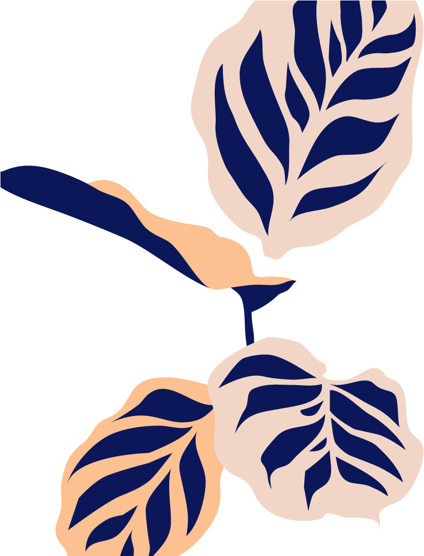 Botanical Name Clipart (923x1135), Png Download