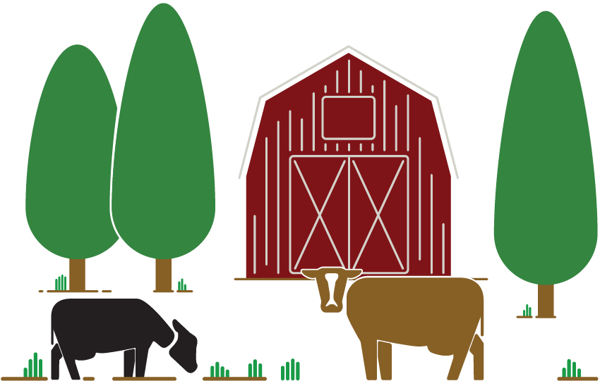 Cows Grazing On Farm - Illustration Clipart (1000x600), Png Download