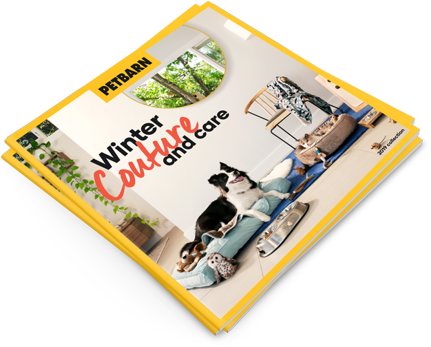 Winter Couture And Care - Skateboarding Clipart (640x529), Png Download