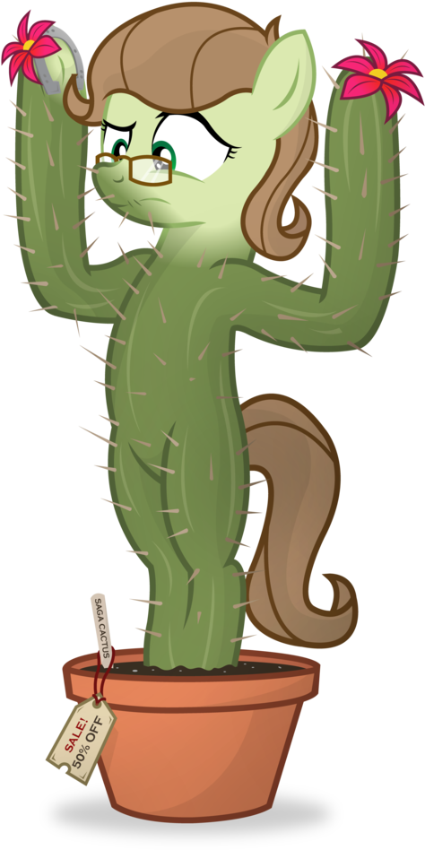 Potted Plants Clipart Transparent Background , Png - San Pedro Cactus (474x948), Png Download