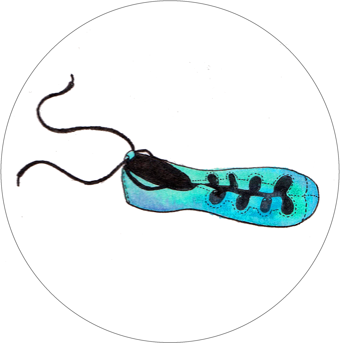 Irish Dance Art Watercolor Dance Shamrocks Sketchpad Clipart (1095x1097), Png Download