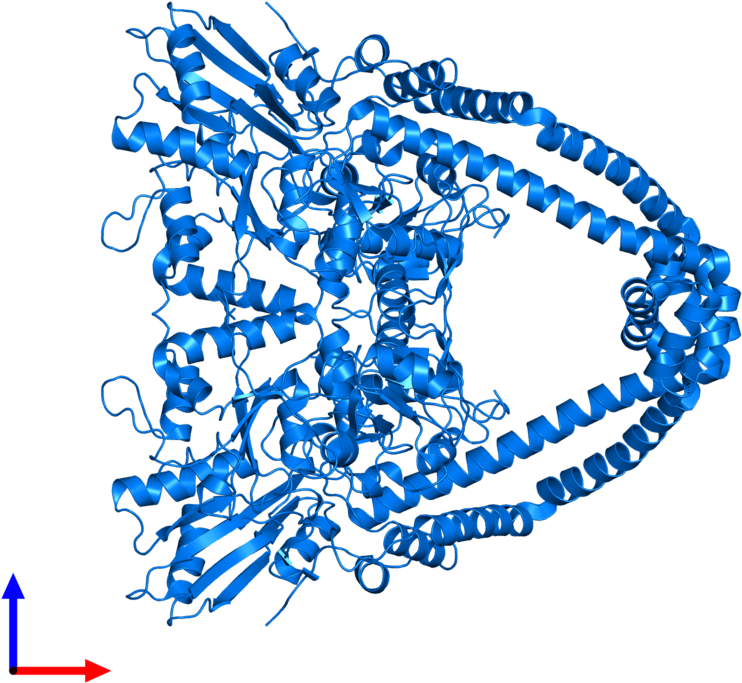 <div Class='caption-body'>pdb Entry 2xcq Contains 2 Clipart (800x800), Png Download