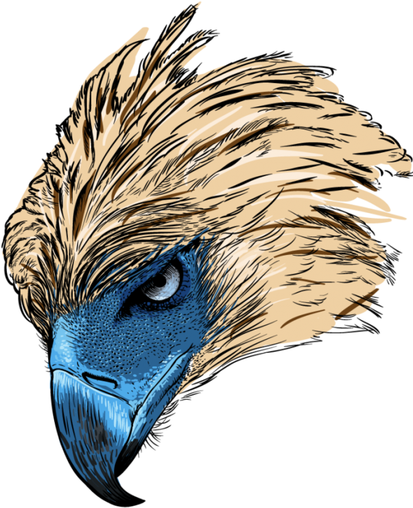 Download Philippine Eagle Logo Png - Philippine Eagle Head Png Clipart