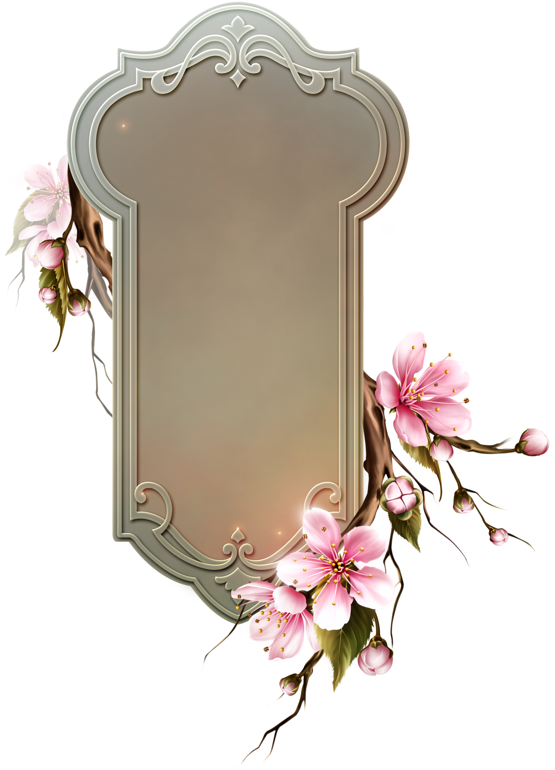 Cherry Blossom Clipart (1836x2556), Png Download