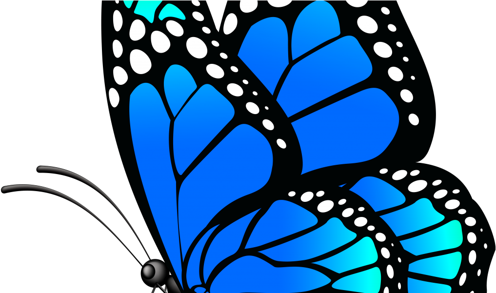Butterfly Hd Png Download Clipart (1024x600), Png Download