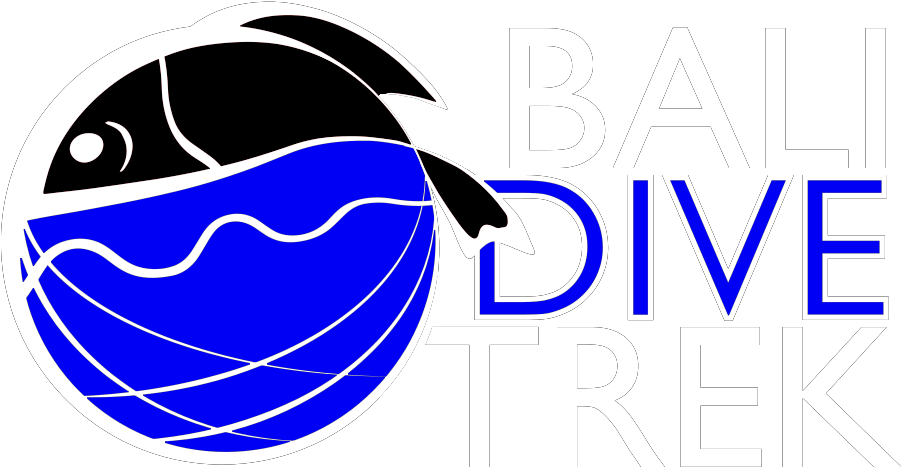Ccr Diving - Bali Dive Trek Logo Clipart (1000x500), Png Download