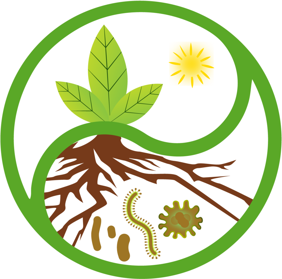 Logo Cropped Square Clipart (1000x994), Png Download