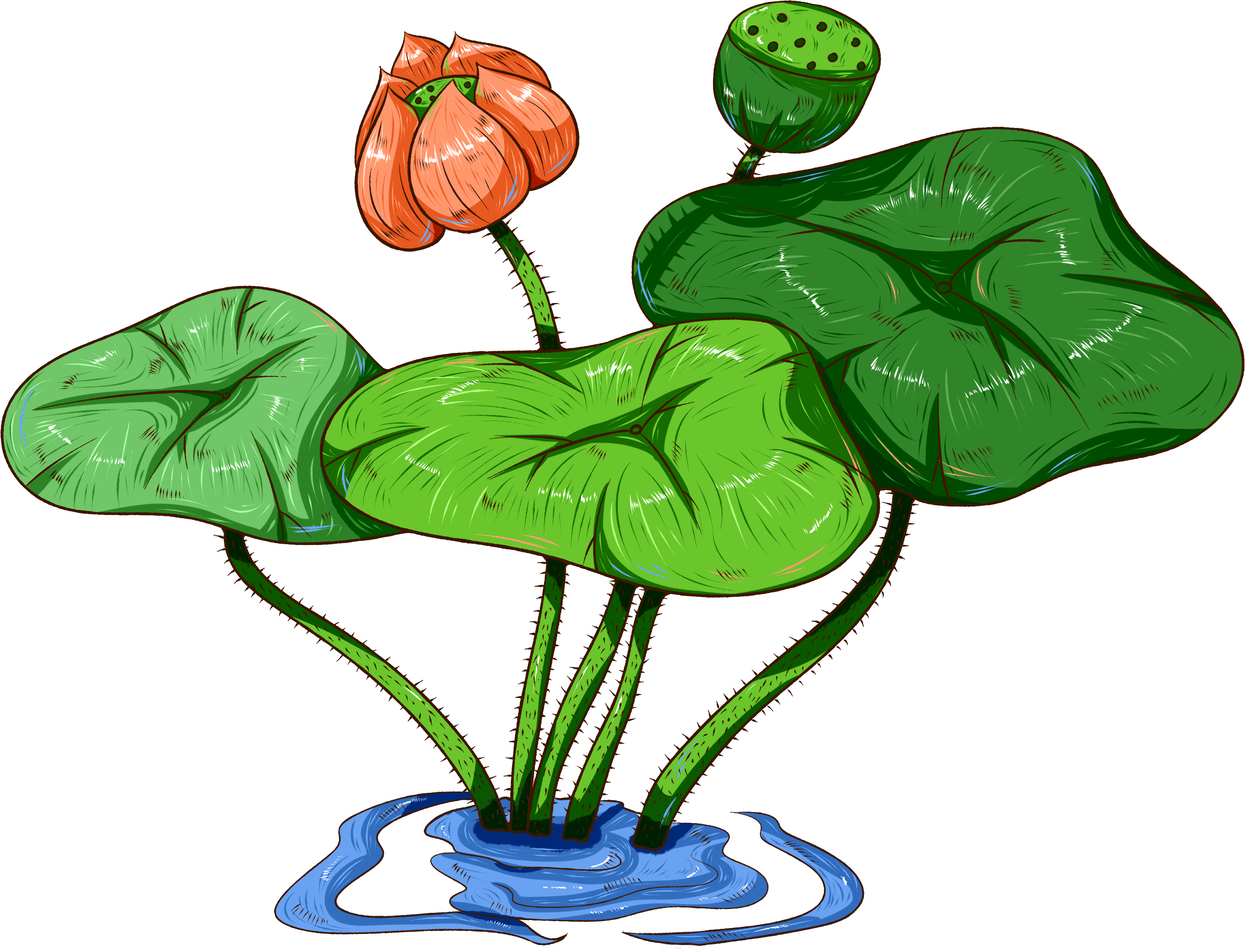 Original Commercial Hand Painted Aquatic Plants Png - Psd Clipart (4000x4000), Png Download