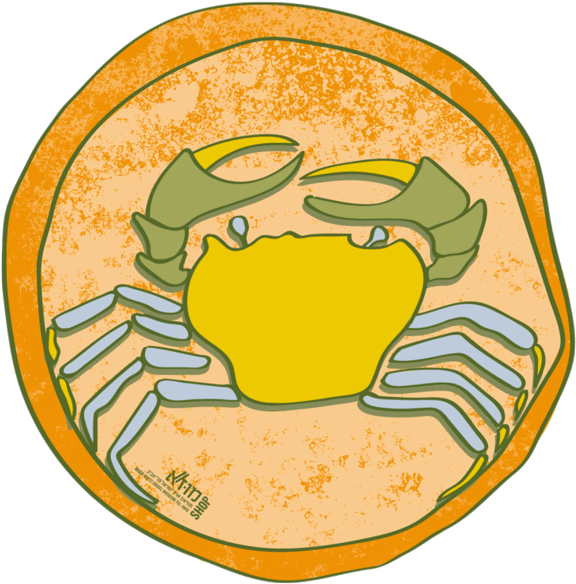 Muza Eretz Israel Museum Tel Aviv Round Coaster - Illustration Clipart (800x800), Png Download