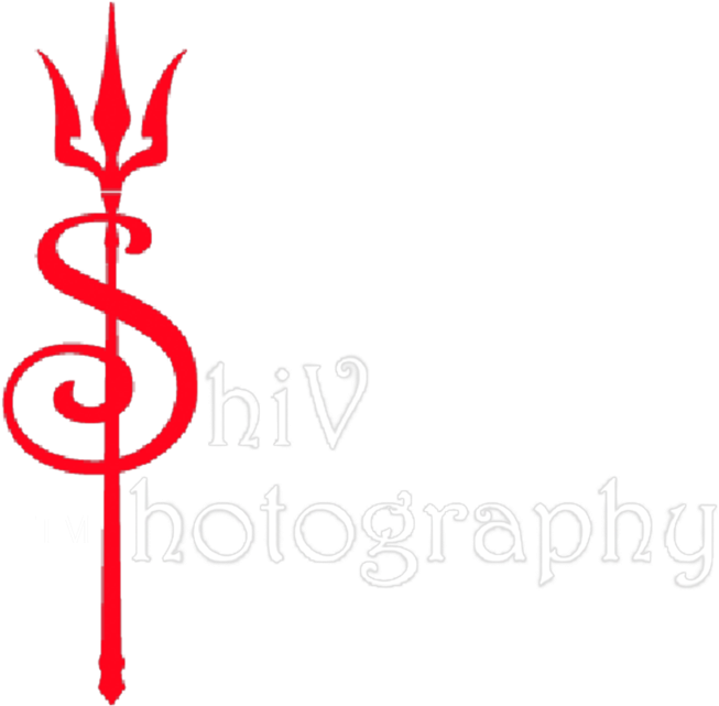 Watermark Shivphotography White Tm , Png Download Clipart (653x641), Png Download