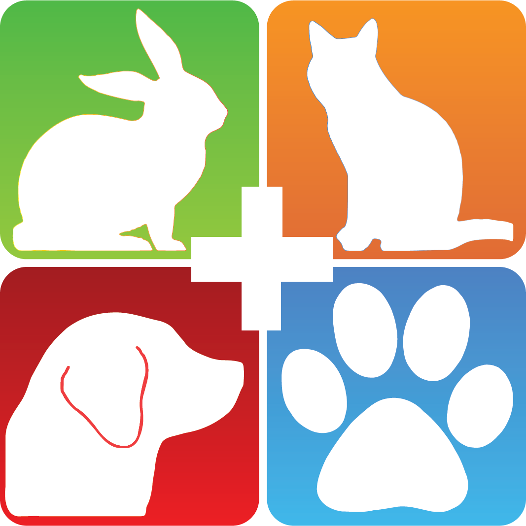 Domestic Rabbit Clipart (1067x1068), Png Download