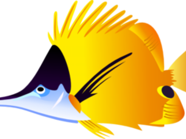 Tropical Fish Clipart Beta - Tropical Fish Cartoon - Png Download (640x480), Png Download