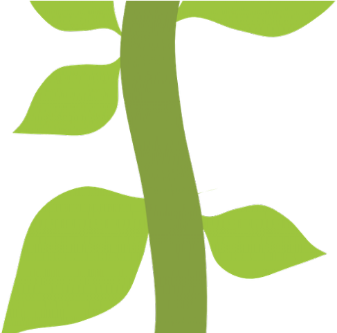 Fern Clipart Safari - Png Download (640x480), Png Download