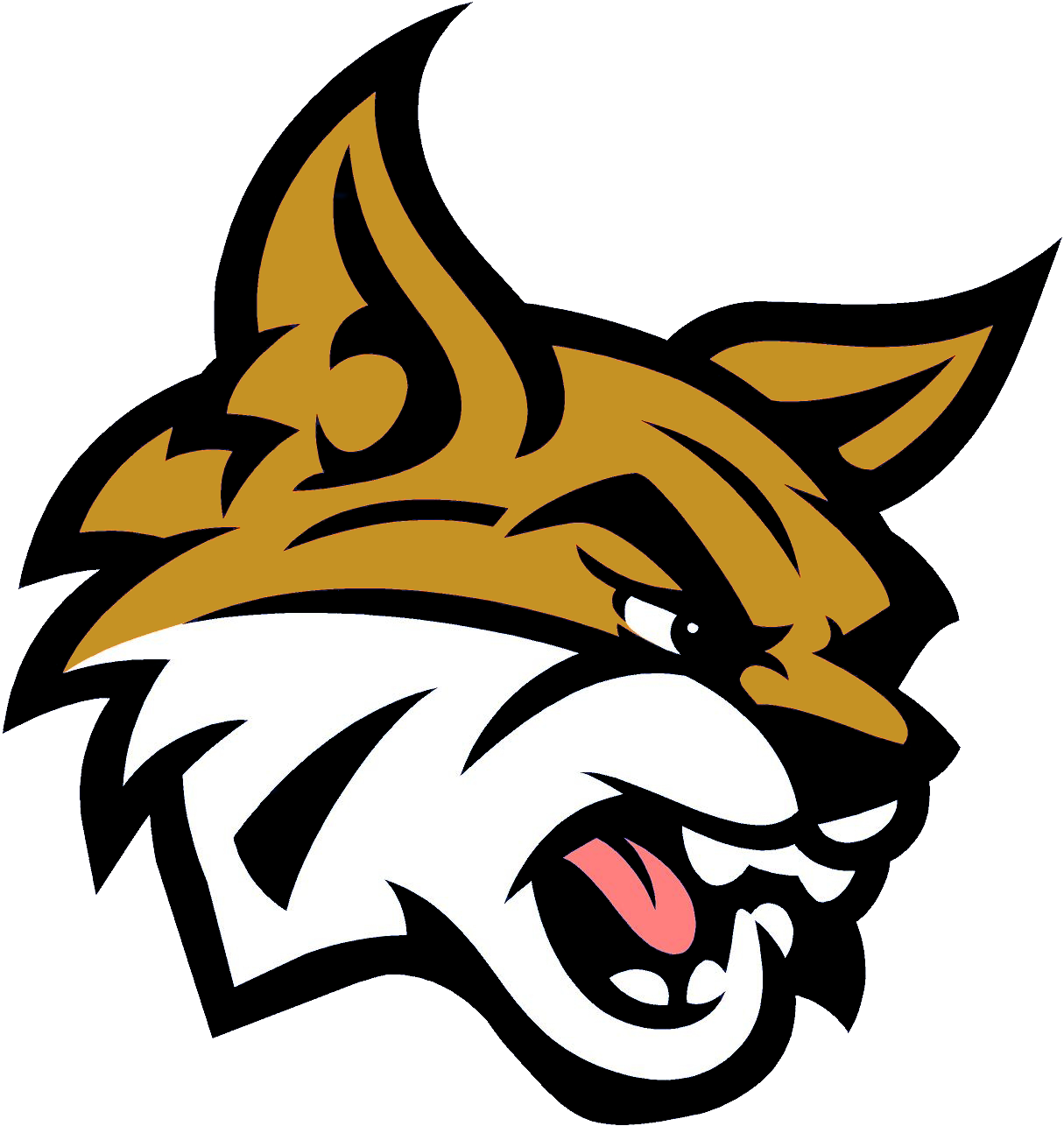 Blumfield - Bobcat Mascot Clipart (1215x1286), Png Download