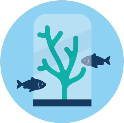 Illustration Representing Fish On A Coral Reef - Illustration Clipart (640x480), Png Download