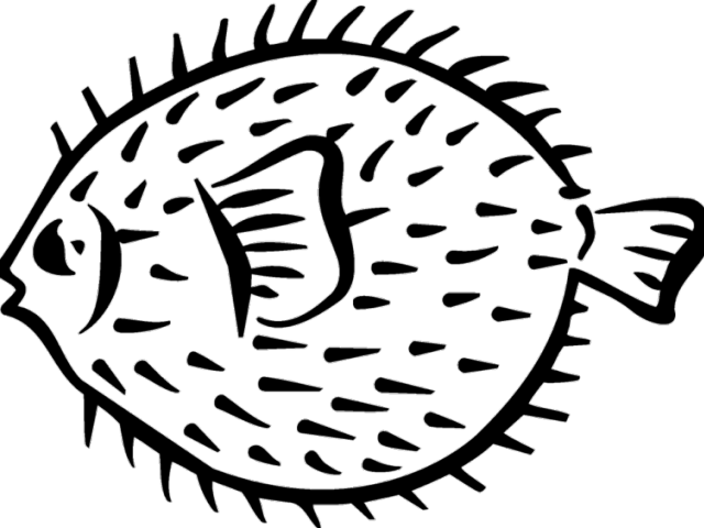 Pufferfish Clipart Black And White - Draw Porcupine Fish - Png Download (640x480), Png Download