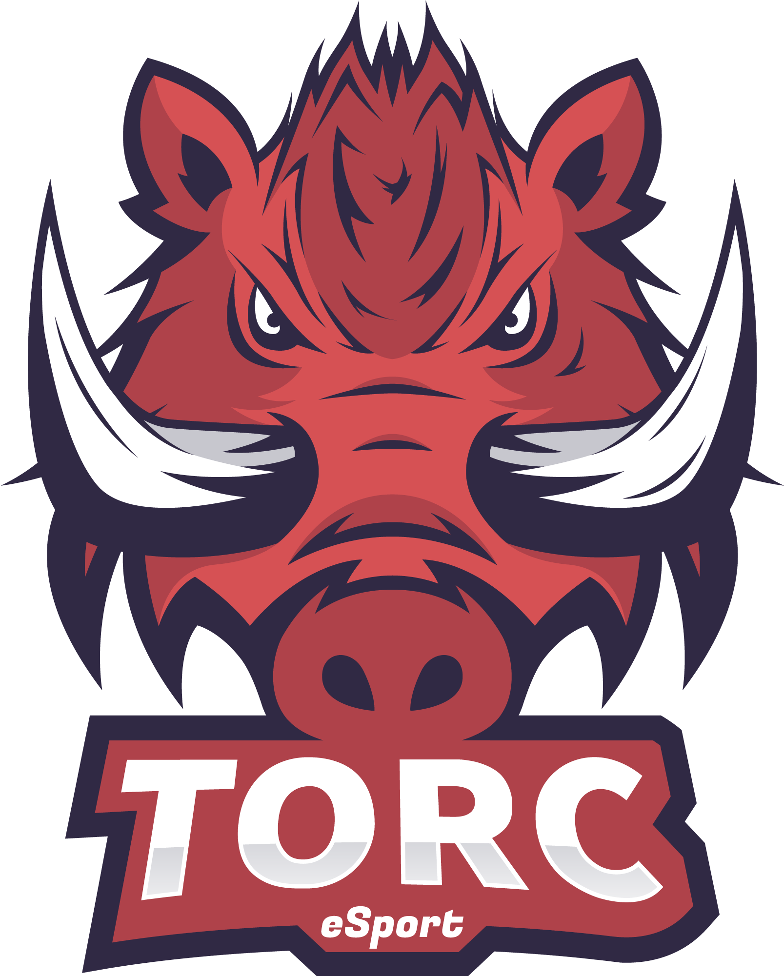 Boar Gaming Logo Clipart (2000x2000), Png Download