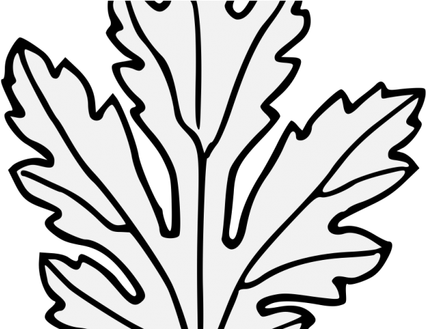 Chrysanthemum Clipart Svg - Line Art - Png Download (640x480), Png Download