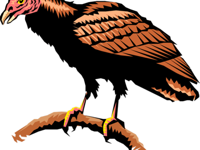 Drawn Turkey Vulture American Eagle - Turkey Vulture Clipart - Png Download (640x480), Png Download