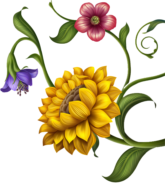 Flower - Sunflower Clipart (584x630), Png Download