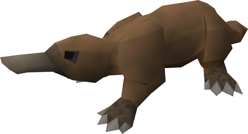 Stella Monaghan 10/1 - Platypus Location Clipart (827x448), Png Download