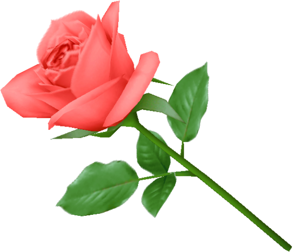 Red Rose Green Leaves Clipart Free Png Download - Rose In Png Format Transparent Png (600x516), Png Download