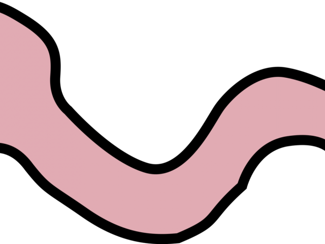 Soil Clipart Earthworm - Png Download (640x480), Png Download
