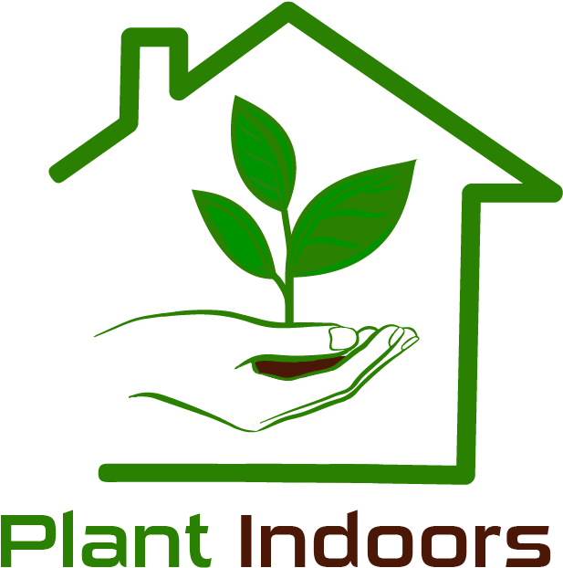 Hanging Plants Bracket Wall Planter Hook Flower Pot - Folha E Gota Clipart (637x642), Png Download