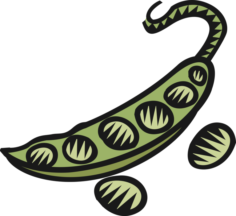 Vector Illustration Of Edible Vegetable Peas In Pod Clipart (767x700), Png Download
