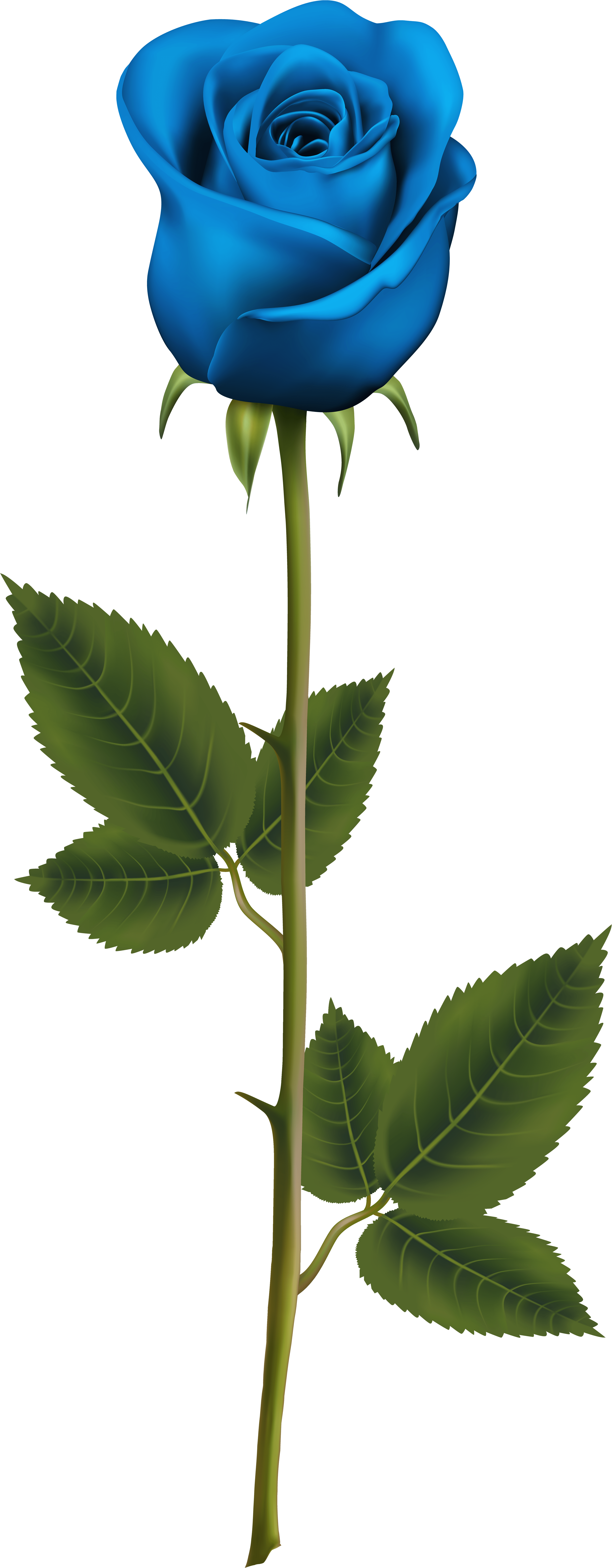 Light Blue Clipart Rose - Blue Rose With Stem Tattoo - Png Download (3277x8000), Png Download