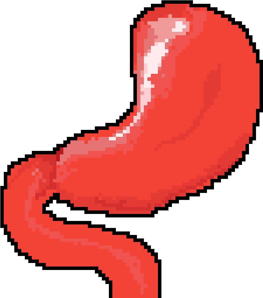 Stomach - Featured On The Knot Clipart (1200x1200), Png Download
