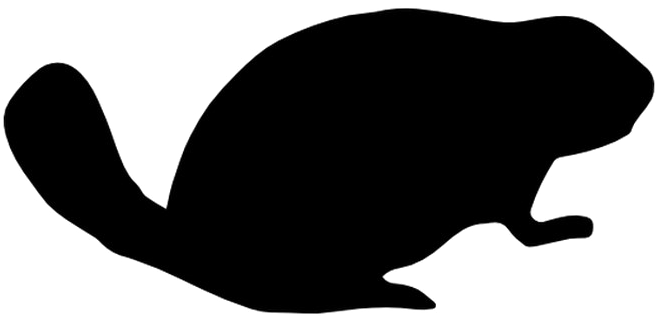 Beaver Png Image Background - Toad Clipart (1280x672), Png Download