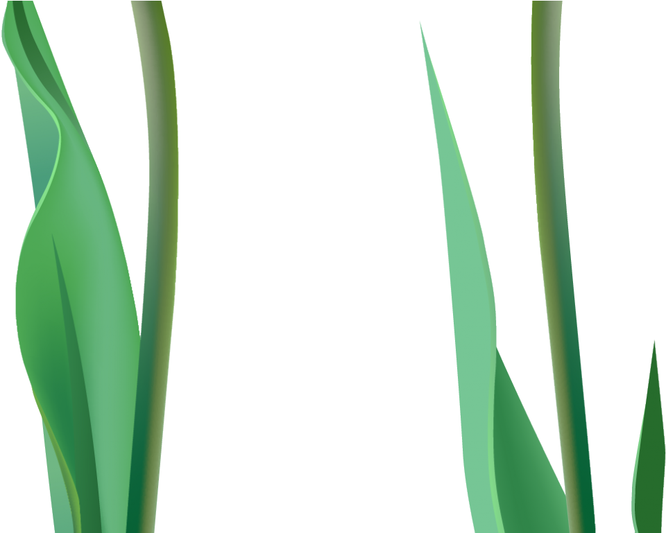 Agave Clipart (1366x768), Png Download