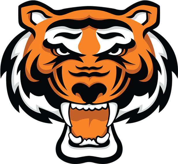Drawn Tiger Fierce Tiger - Rawlings Tigers Clipart (800x600), Png Download