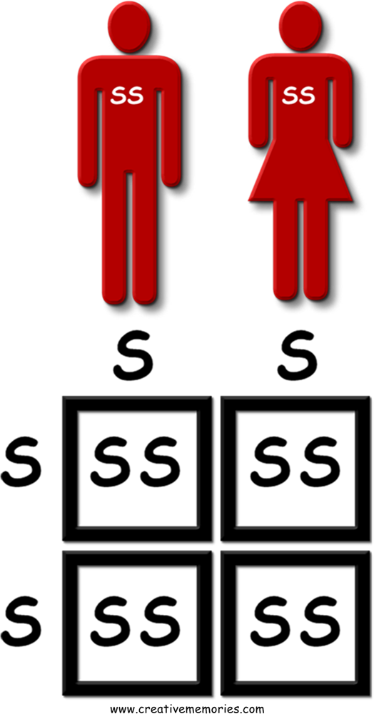 This Means That Both Parents Carry Two Sickle Cell Clipart (524x1001), Png Download
