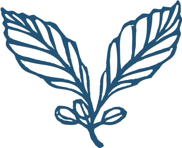 Kickapoo Coffee Home - Logo Clipart (700x643), Png Download